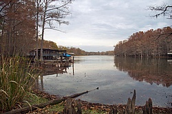 Lake_Caddo_View_from_shore.jpg