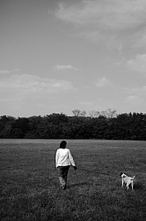 Mamina_Rex_Walking.jpg