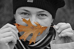 The_Orange_Leaf.jpg